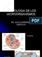 14954067 Morfologia de Los Microorganismos