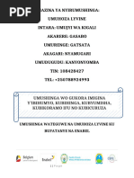 Umushinga W'ingurube | PDF