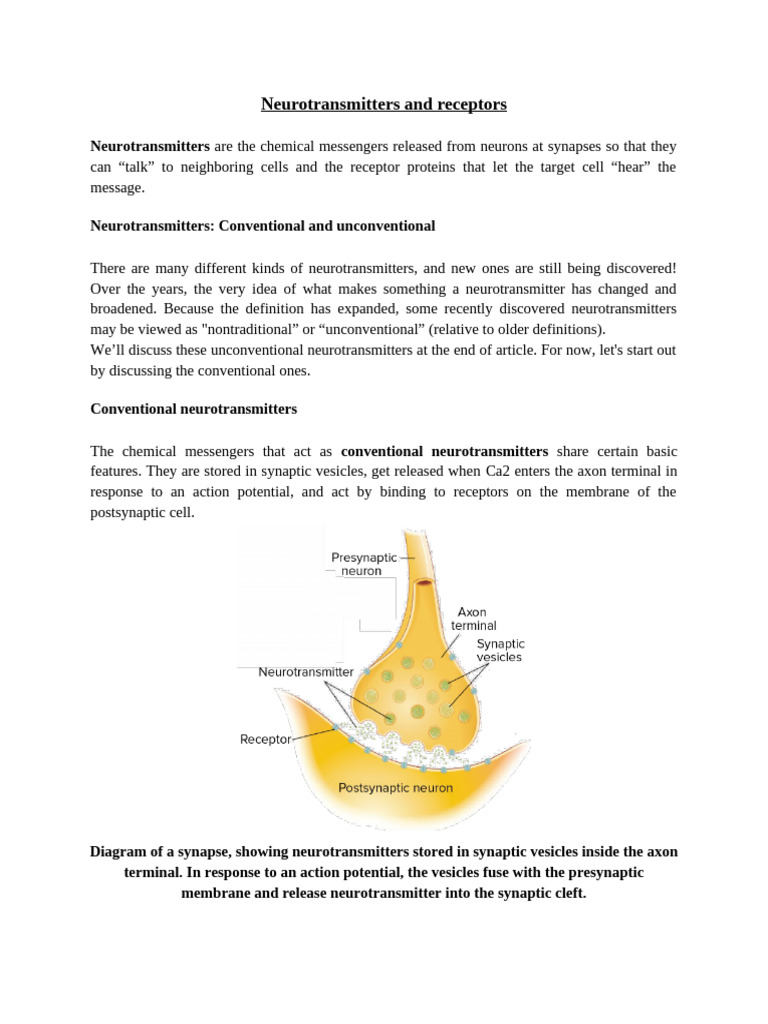 Neurotransmitters and Their Receptors | PDF | Neurotransmitter ...