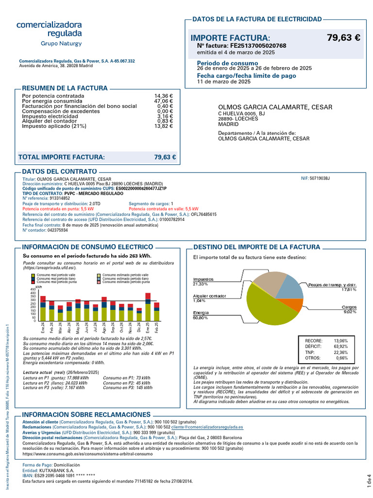 Factura de Electricidad: Resumen y Detalles | PDF | Economias