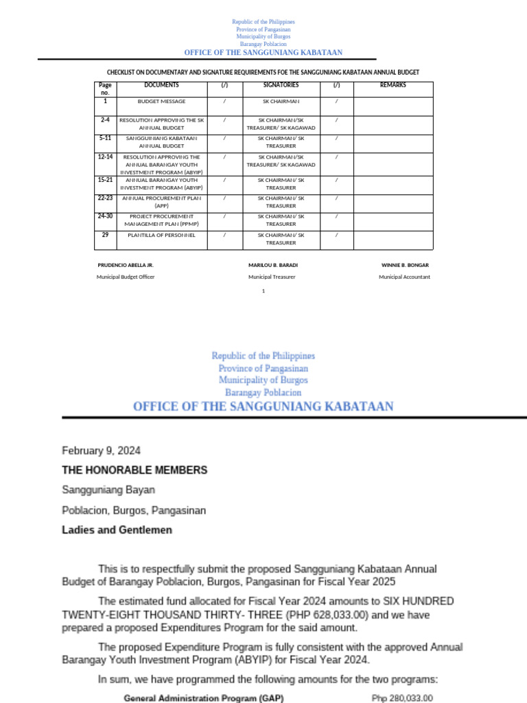 SK Annual Budget Proposal 2025 | PDF