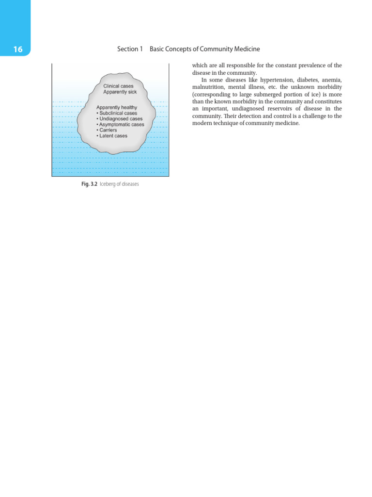 Iceberg | PDF