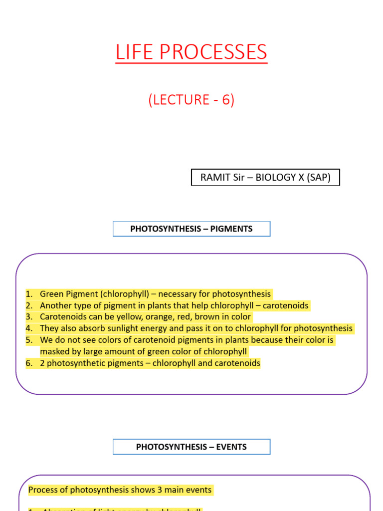 LP - Lecture 6 | PDF | Photosynthesis | Cellular Respiration