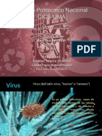 Virus