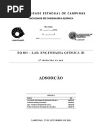 Relatório - Adsorção - FEQ EQ801 - UNICAMP - Grupo 2 - Final