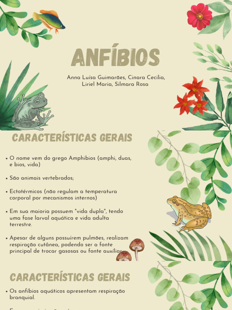 Características e Metamorfose dos Anfíbios | PDF | Anfíbio | Vertebrados