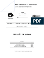 Relatório - Pressão de Vapor - FEQ EQ801 - UNICAMP - Grupo 2