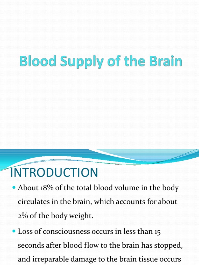 Blood Supply of The Brain | PDF | Vein | Cerebral Cortex