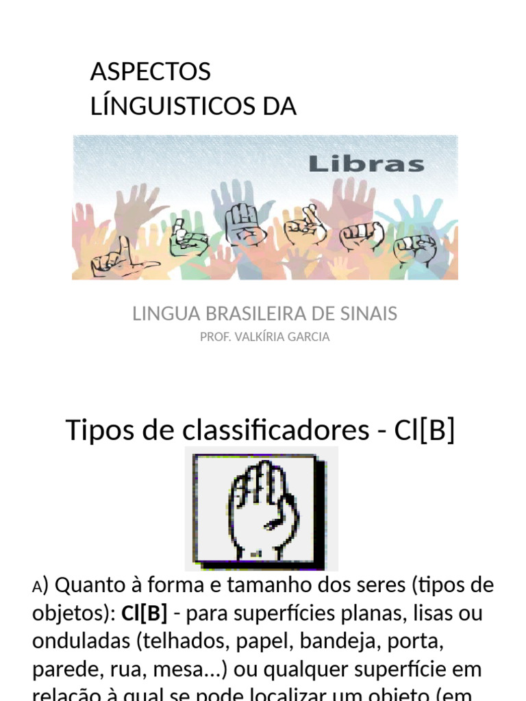 Classificadores na Língua de Sinais Brasileira | PDF