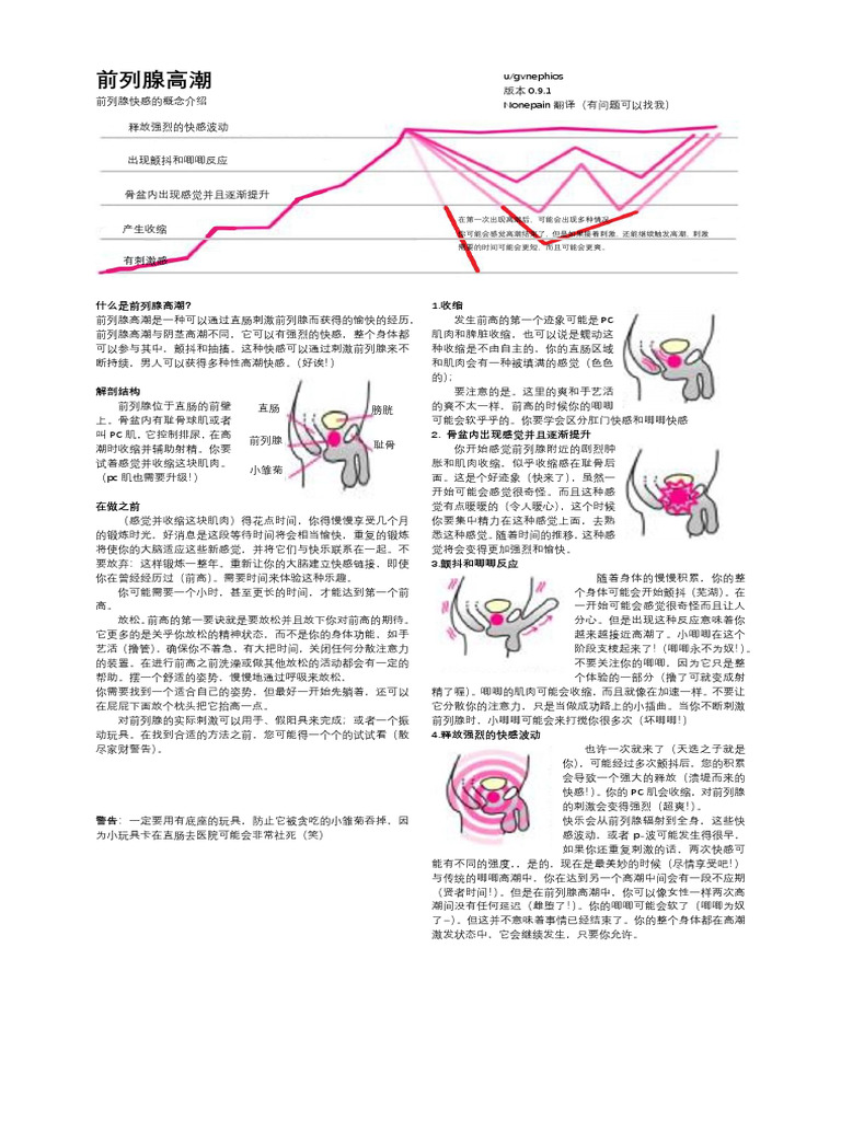 前高 | PDF