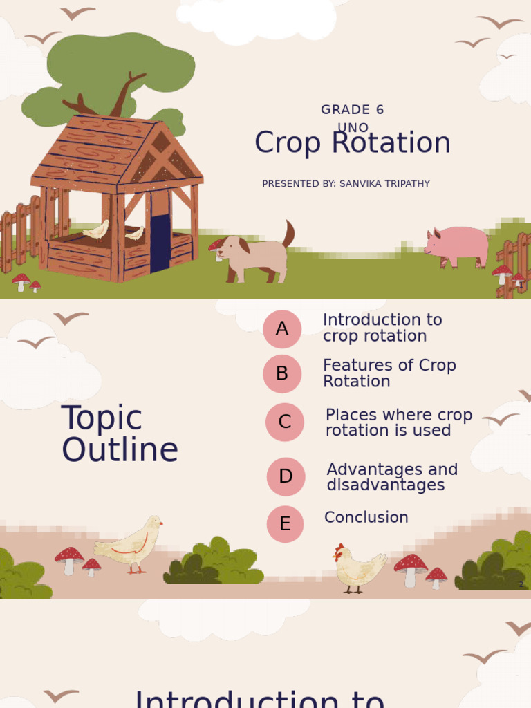 Crop Rotation Geography Formative | PDF