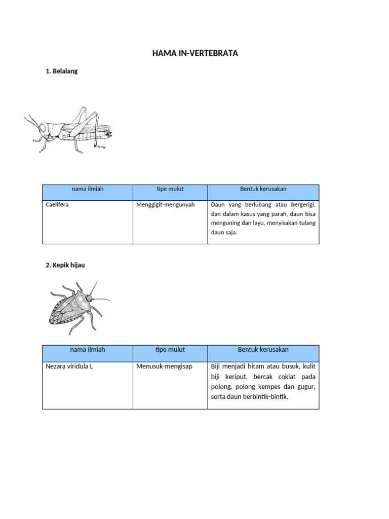 HAMA IN-VERTEBRATA-WPS Office | PDF