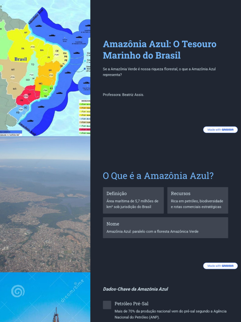 Amazônia Azul: Tesouro Marinho do Brasil | PDF | Brasil | Zona ...