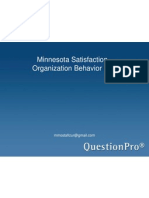 Minnesota Satisfaction - Organization Behavior Rep