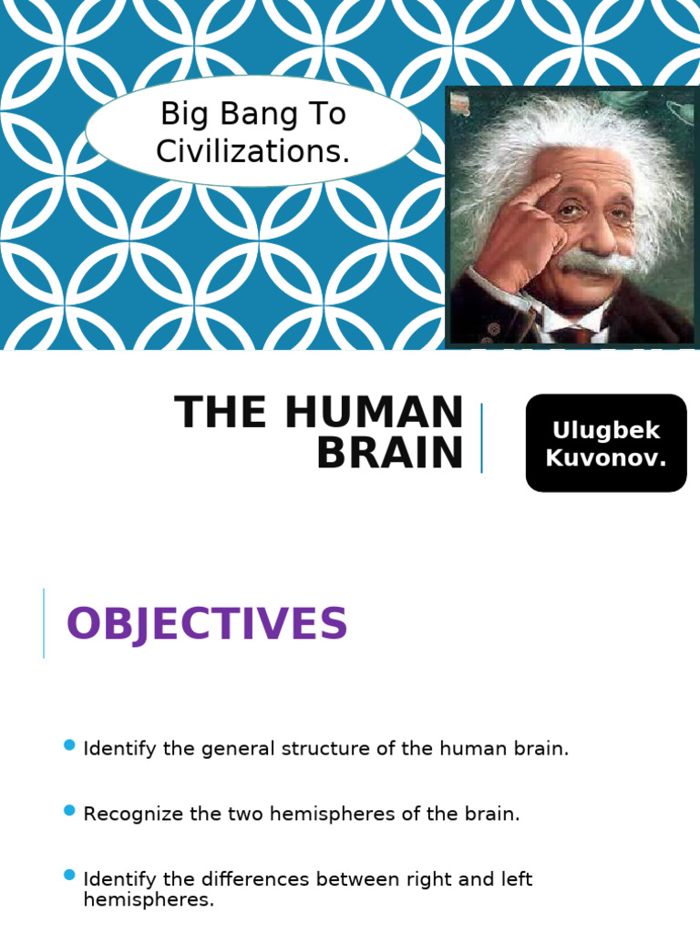 Human Brain Structure and Functions | PDF | Lateralization Of Brain ...