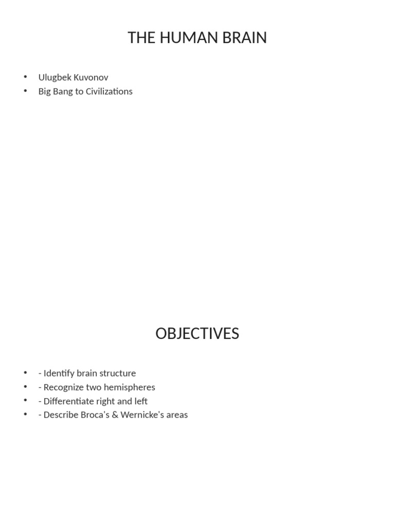 Understanding Human Brain Structure | PDF