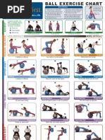 Ball Exercise Chart