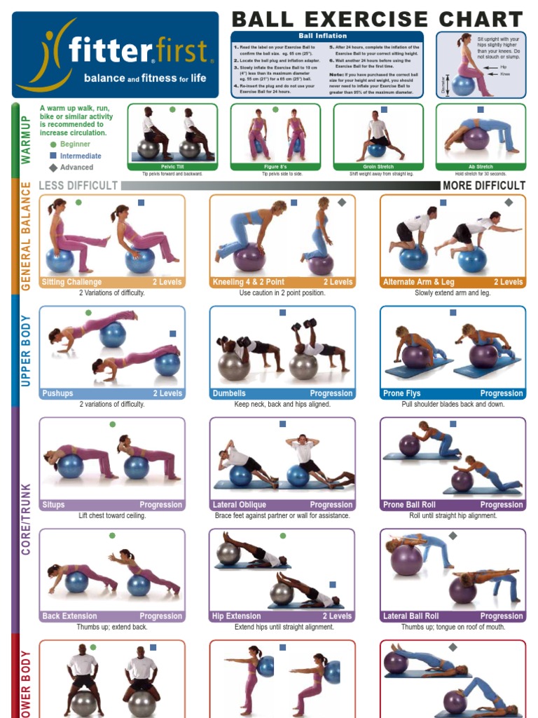 Ball Exercise Chart Weight Training Flexibility (Anatomy)