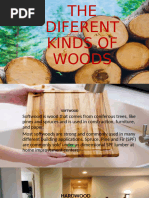 Philippine Hardwood and Softwood Guide | PDF | Wood | Trees
