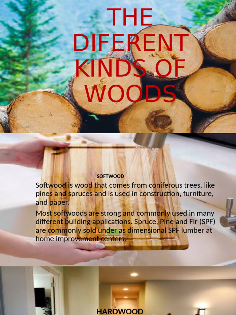 Types of Softwood and Hardwood Explained | PDF | Wood | Pine
