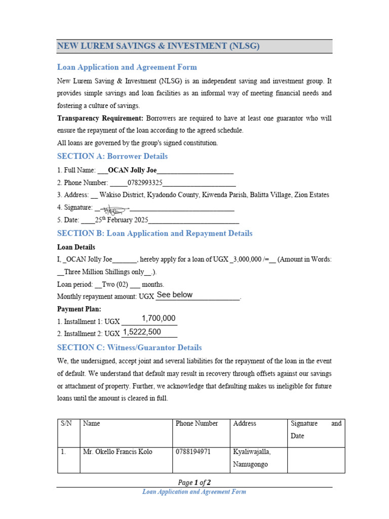 NLSG Loan Application Form Guide | PDF | Loans | Investment Banking