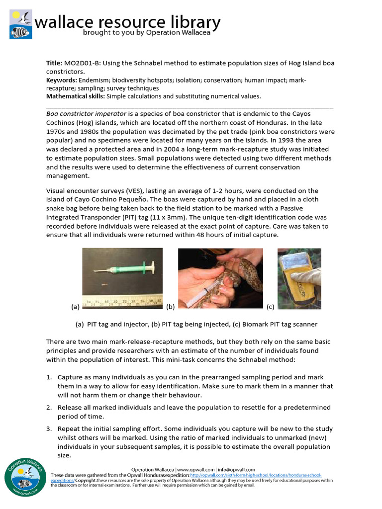 Schnabel Method for Boa Population Estimation | PDF