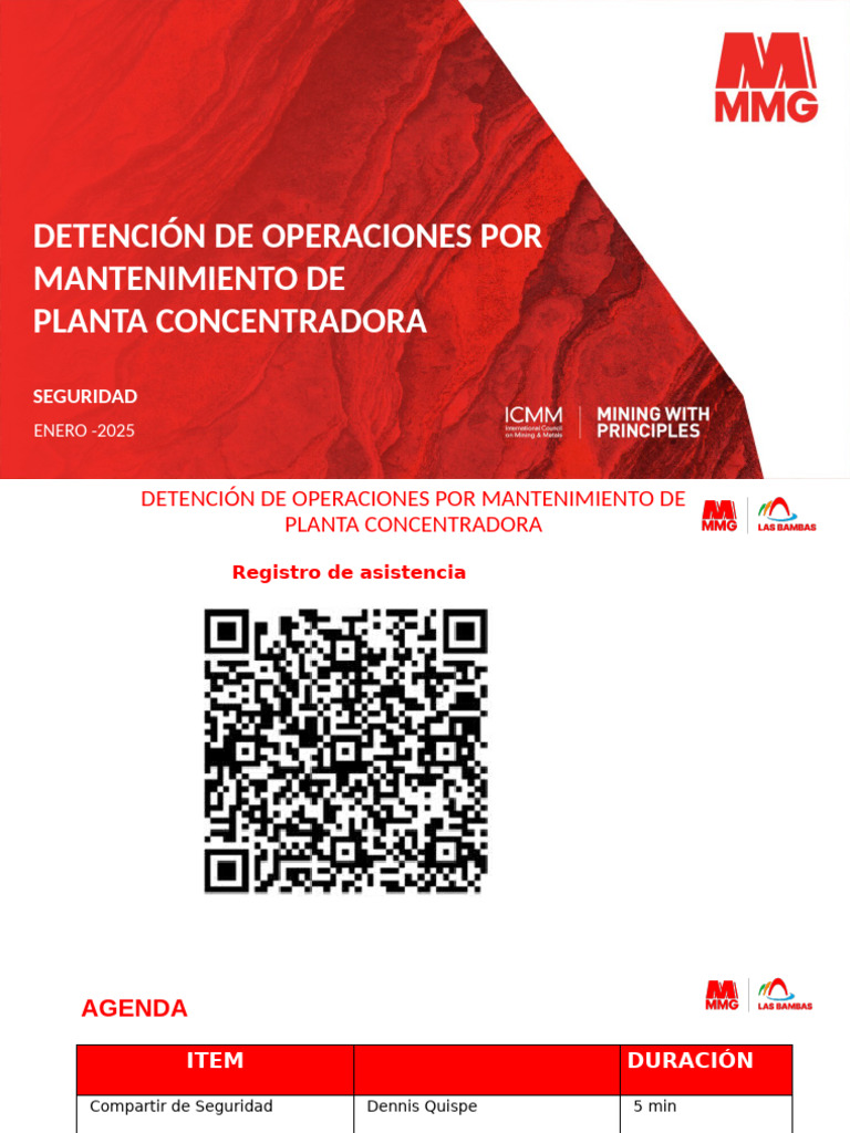 Parada de Planta - Seguridad Enero 2025 Final | PDF | Sicología