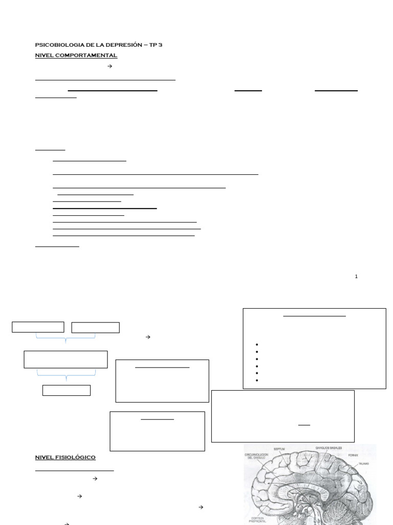 Resumen - TP 3 | PDF | Sinapsis | Antidepresivo