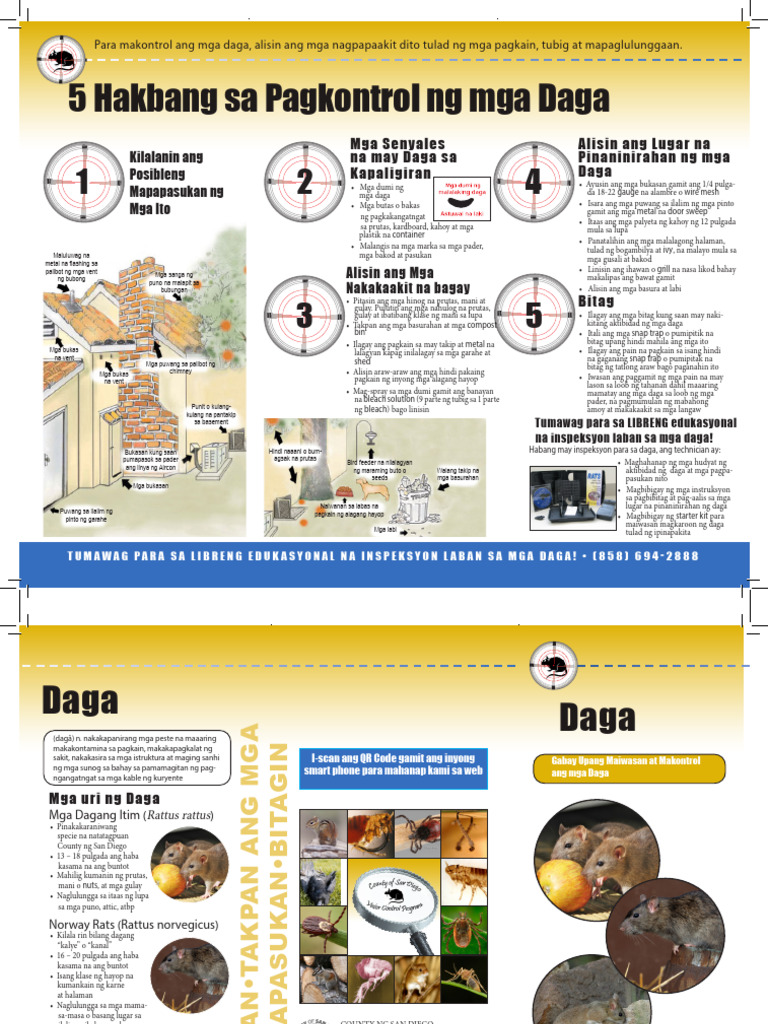 Rat Tagalog Final | PDF