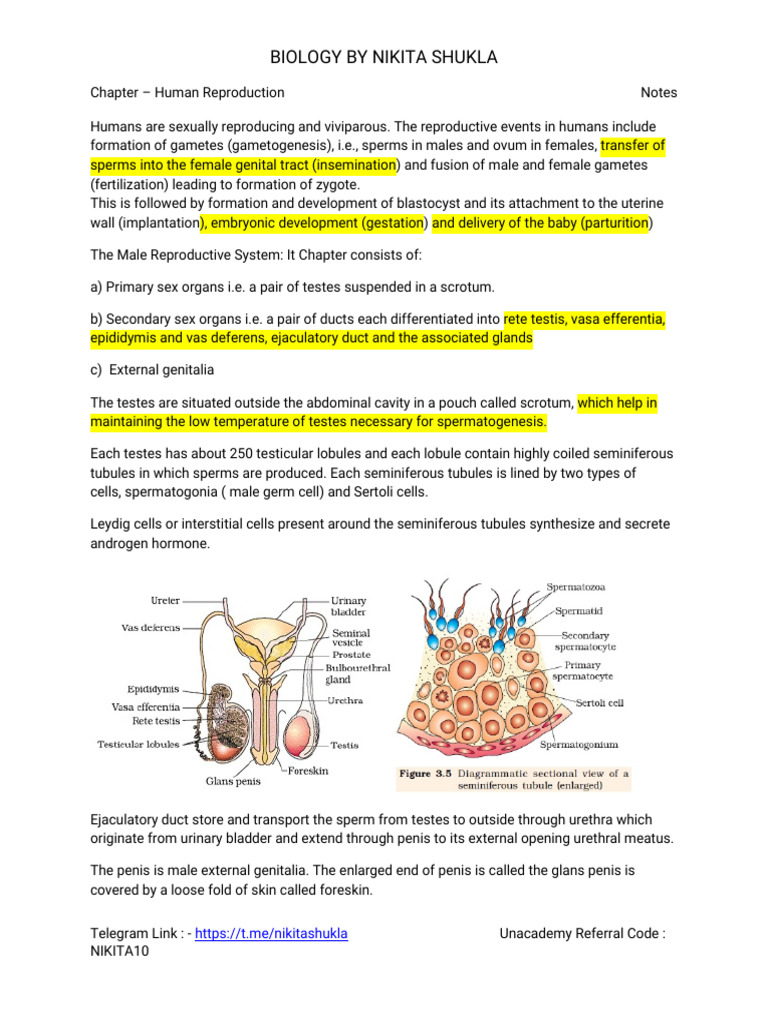 Human Reproduction Overview and Notes | PDF