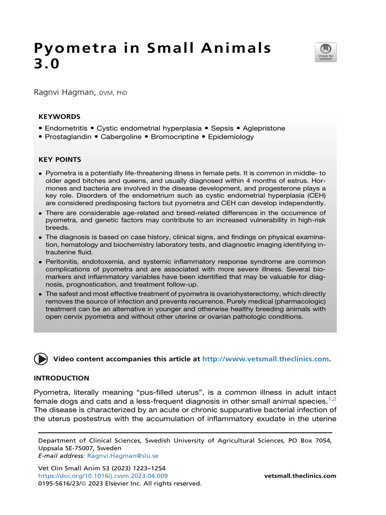 Pyometra in Small Animals Explained | PDF | Uterus | Sepsis