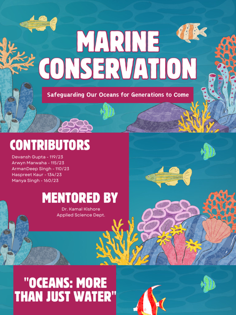 Ocean Conservation Presentation | PDF | Oceans | Conservation Biology