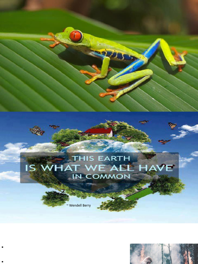 Understanding Conservation Biology | PDF | Biodiversity | Conservation ...