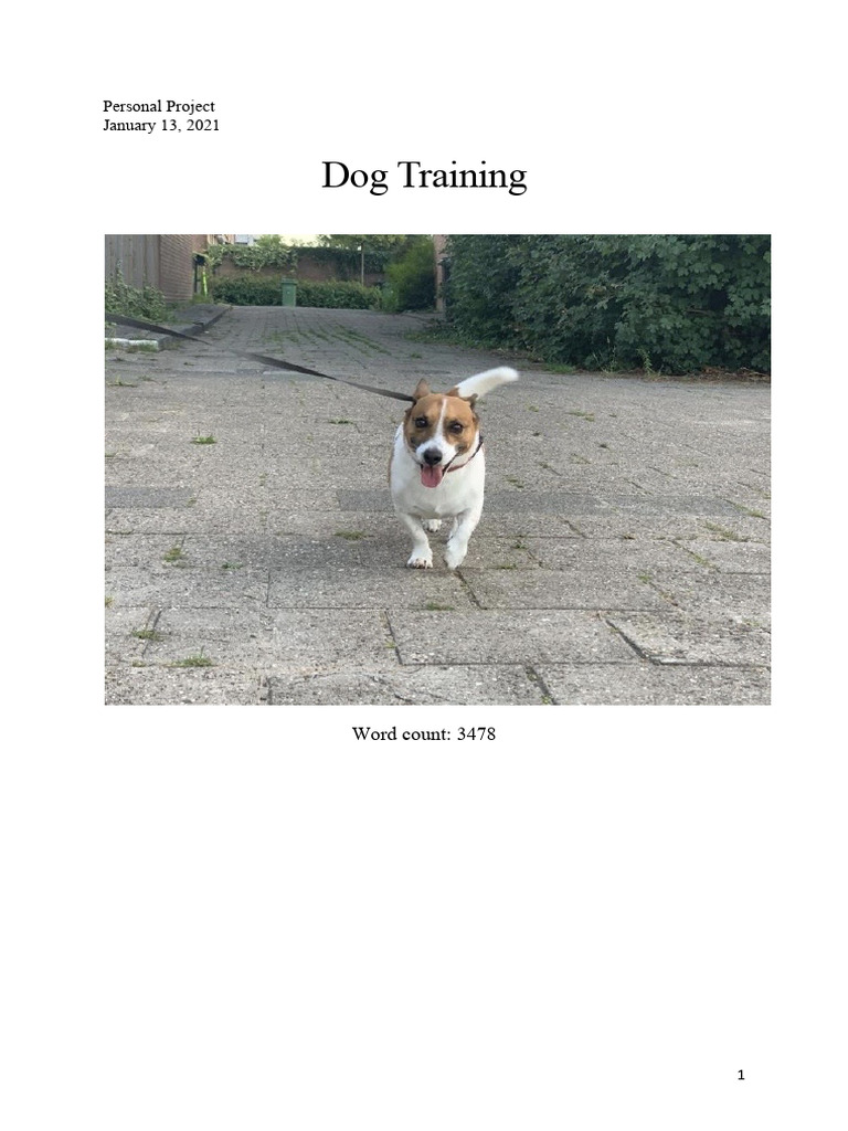 Dog Training Personal Project Guide | PDF | Classical Conditioning ...