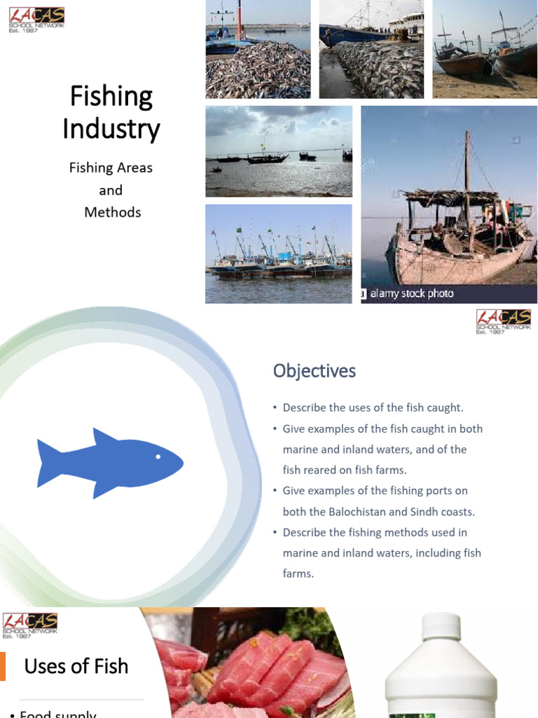Fishing Industry: Methods and Species | PDF