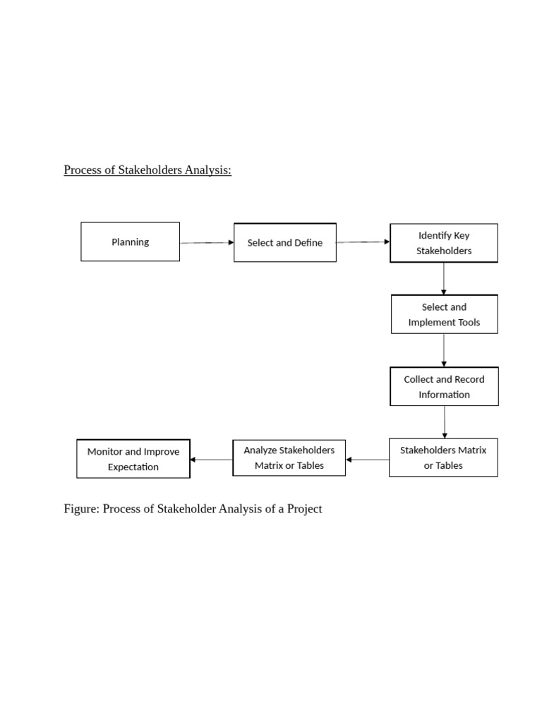 Process of Stakeholders Analysis | PDF