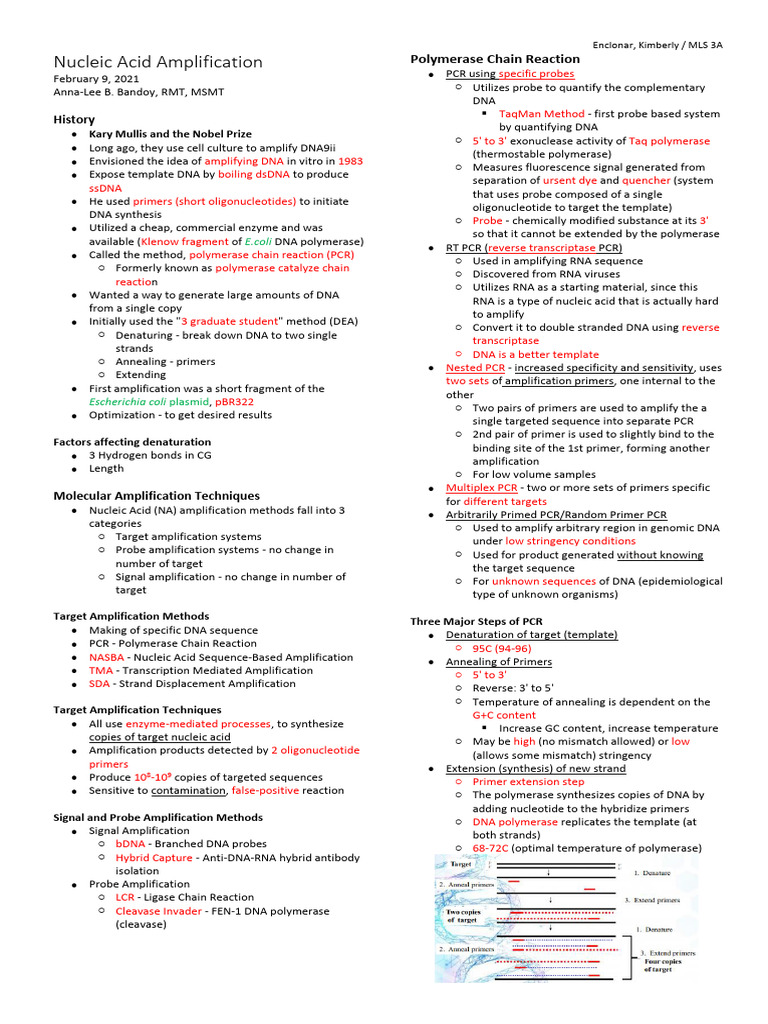 6 Nucleic Acid Amplification | PDF | Polymerase Chain Reaction | Primer ...