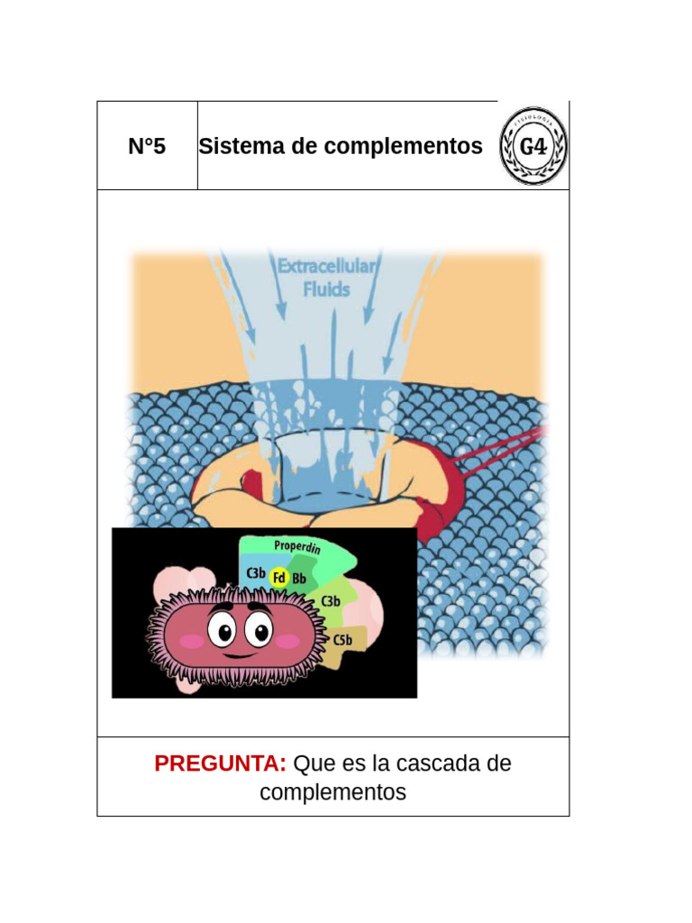 Sistema de Complementos | PDF