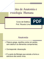 Noções de Anatomia e Fisiologia  Humana