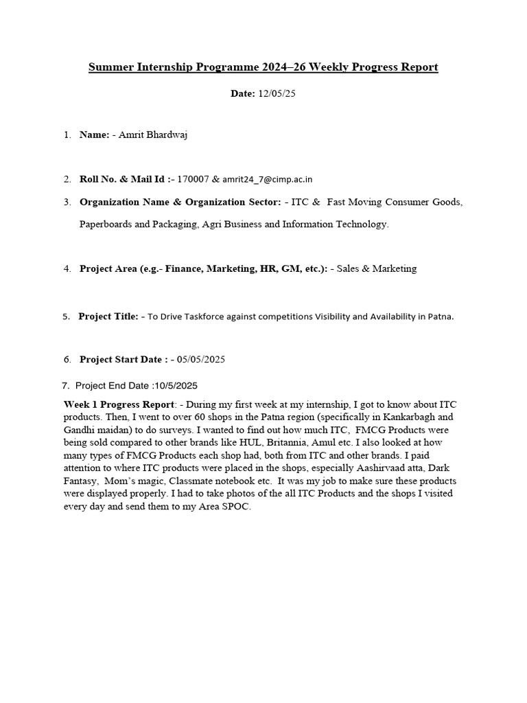 Summer Internship Progress Report 2024 | PDF