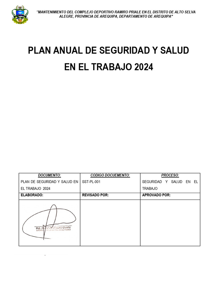 Plan Anual de Seguridad y Salud 2024 RAMIRO PRIALE | PDF | Gobierno ...