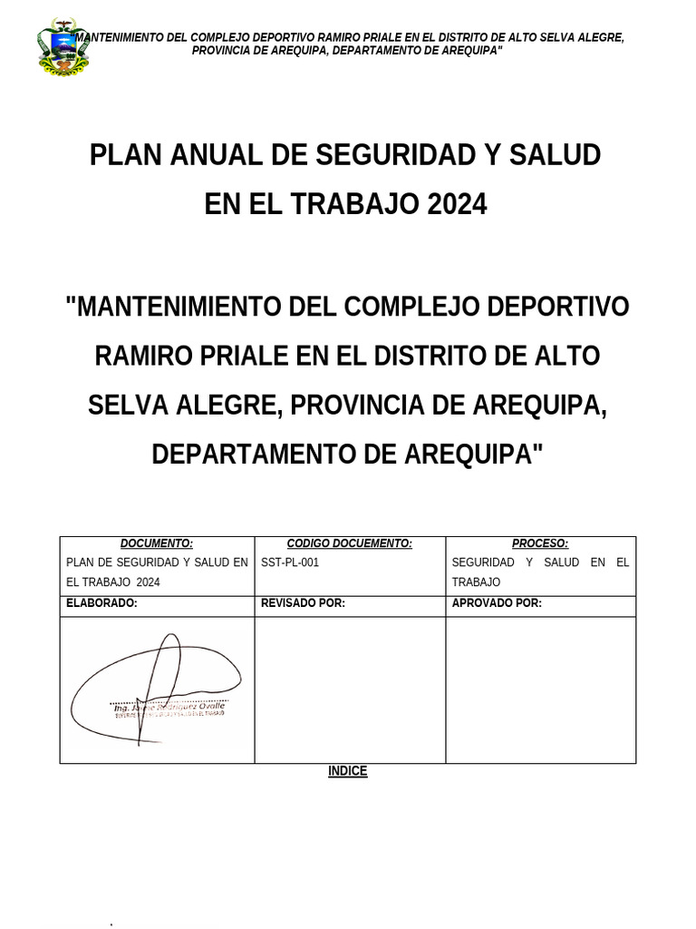 Plan Anual de Seguridad y Salud 2024 RAMIRO PRIALE | PDF | Gobierno ...
