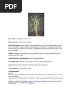 Download Serai by bedullenyalexcyia SN86466003 doc pdf