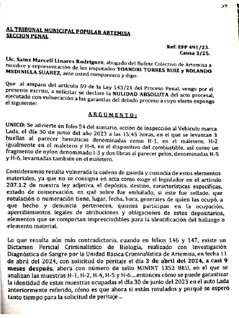 Nulidad Absoluta 9-25 | PDF