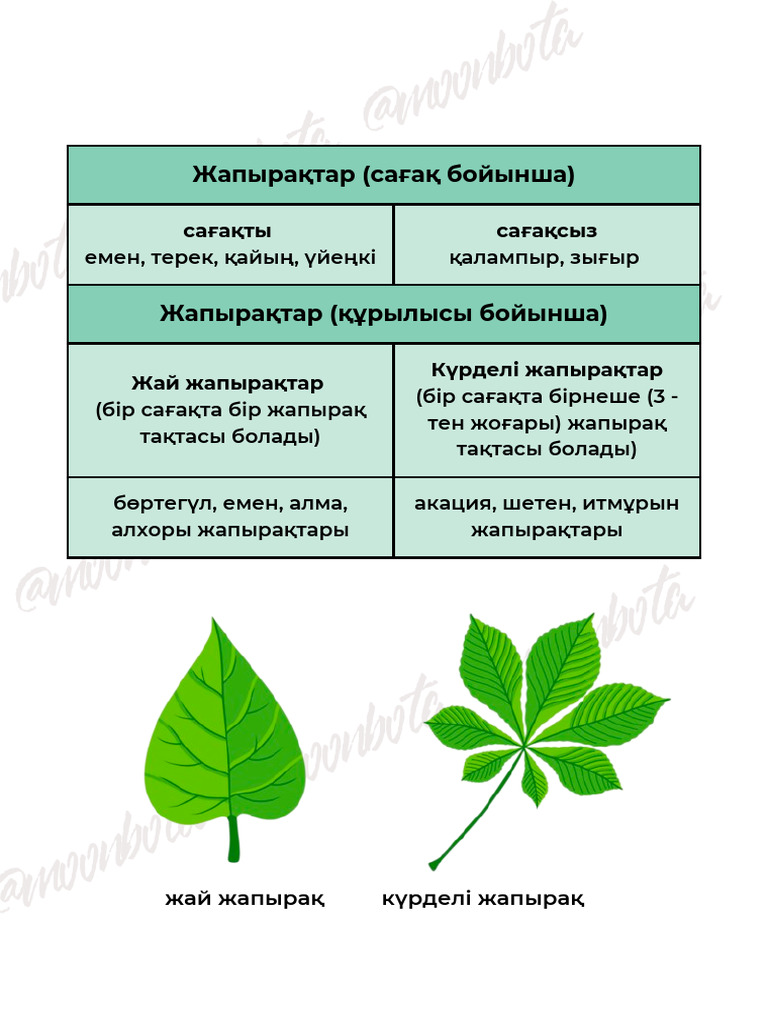 Шұлықтағы транни оны жопқа береді