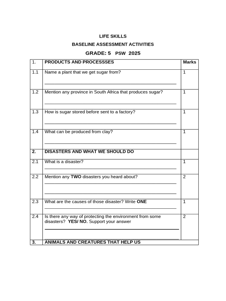 2024 BASELINE ASSESSMENT Life Skills - Grade 4-6 | PDF | Prevention Of ...