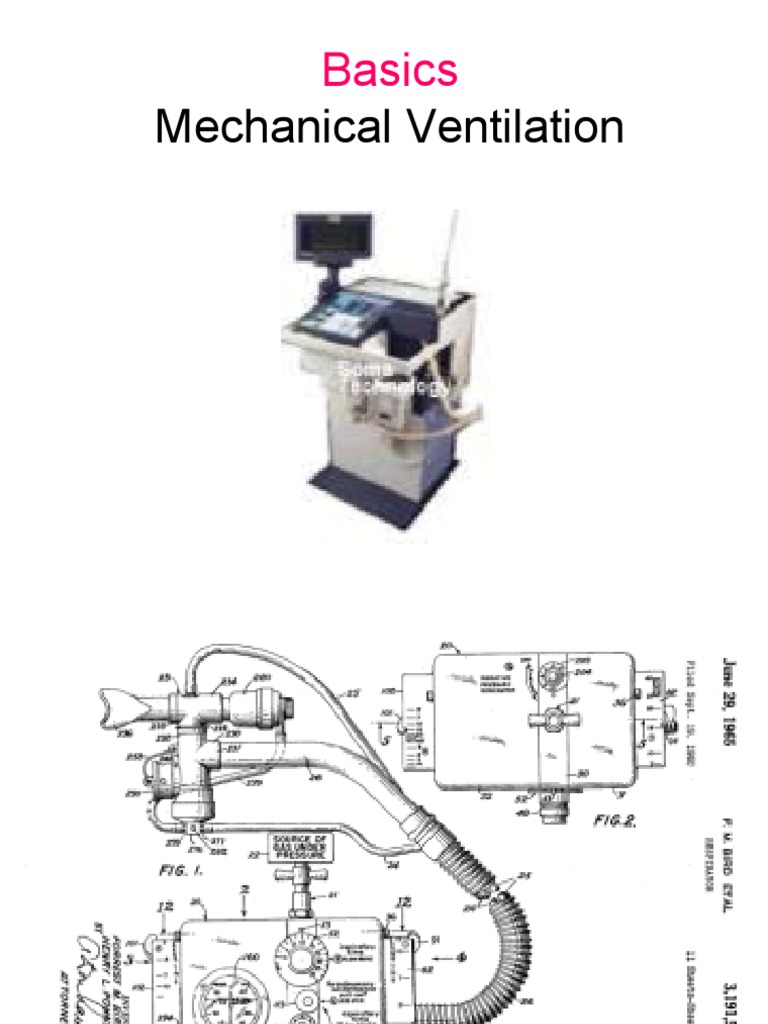 Mechanical Ventilation Basics Breathing Physiology