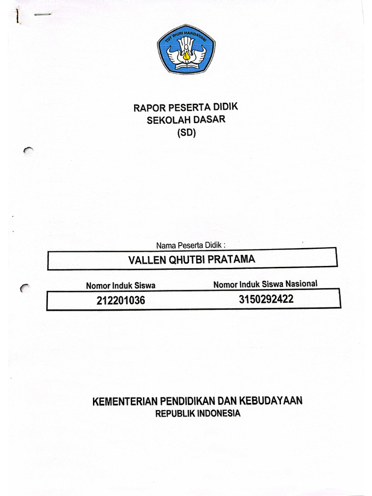 Raport Vallen | PDF