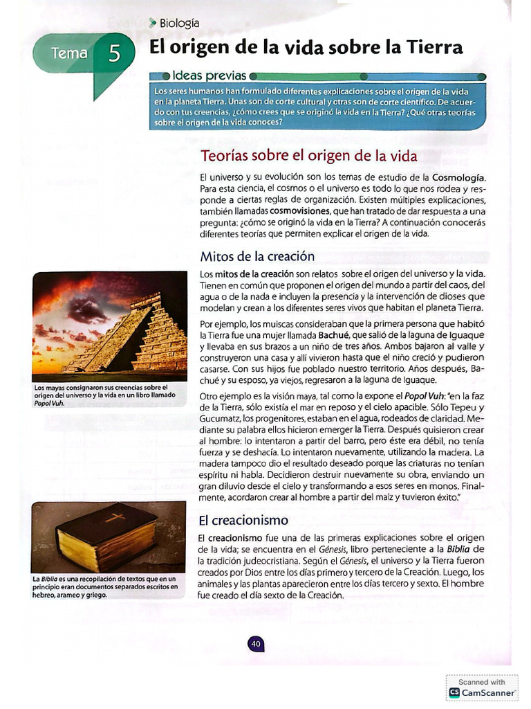 Teorias Del Origen de La Vida | PDF