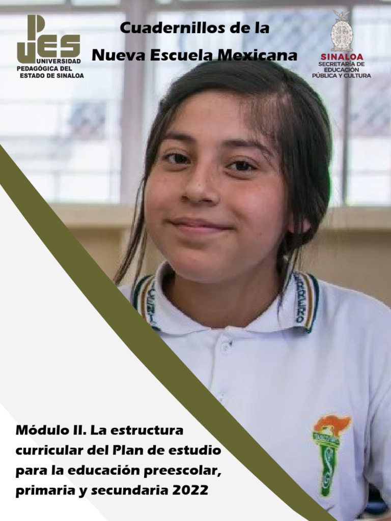 Estructura Curricular Plan 2022 | PDF | Plan de estudios | Sustentabilidad